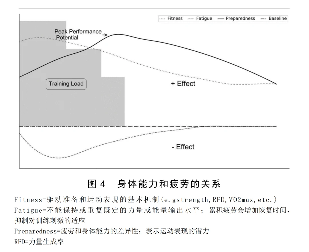 为什么篮球规则对球员发展如此重要?_2
