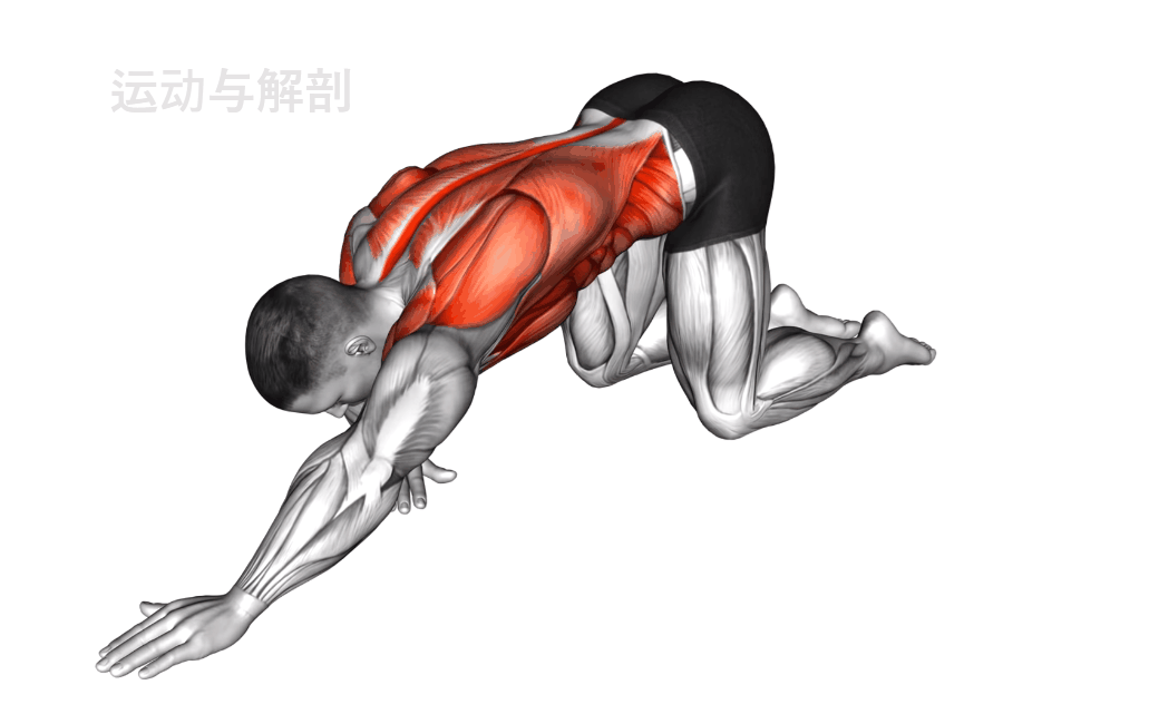 如何从篮球榜样身上学到团队合作精神_1
